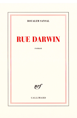 Rue-Darwin
