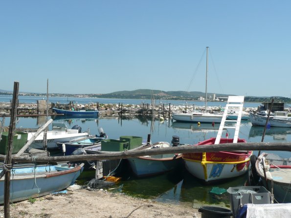 sortie-sete11