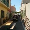 sortie-sete12