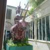 sortie-sete24