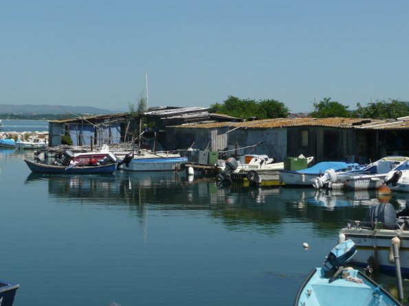 sortie-sete8